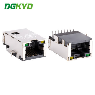RJ45-Netzanschluss mit direktem Einsatz mit Transformator, dünne Absetzplatte DGKYD1511B031CB2W7CBD057
