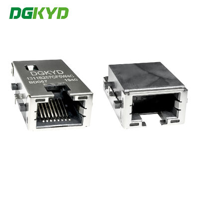 RJ45 Sinking Board 100Mbps integrierter Filter mit Lichtstreifenschirmung DGKYD1311B257CF5W4CBD057